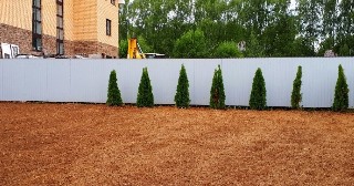 Отсыпка грунта Бузулук, цена от 209 руб.